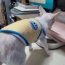 아름동물병원 이미지