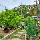 홍예민박 이미지