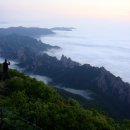 산천초목 이미지