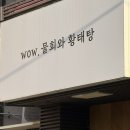 역전빠 | [2026-05-15] 롯데 자이언츠 원정경기 | 두산 vs 롯데 | 잠실 시야방해석 | 외야석 417구역 18열 시야 후기