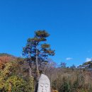 승달산길 이미지