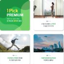 세일화원 이미지