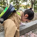 (주)풍성자동차정비 | [인생 2막] 21년 된 식세기 자가 수리해서 쓰기! 자동차 정비 기능사 시험 결과는? 올해의 벚꽃놀이