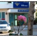 한산파출소 이미지