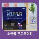 팜투팜1공장 | 관절 영양제 소연골 콘드로이친 1200 소개 및 추천드려요