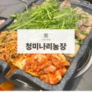 필승농장 | 강남역 모임장소로 좋은 강남역 가성비 고기집 청미나리농장 | 미나리 냉삼 맛집