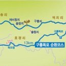 구룡약국 이미지