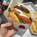 서호동-45 | 11월 일기 후기(제주 다녀옴, 얼스빕 후기, 무상찻집, 식물원김밥 만들기, 어노인팅, 한복입고 경복궁...