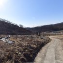 용산리2 농로 9 이미지