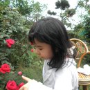 삼호농장 이미지