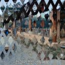 황토마루 이미지