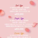 월드컵가든 | 월드컵컨벤션 올바른 스냅 메인 스냅 (2인 촬영)+ DVD 계약 후기 (짝꿍 코드 260129_샤샤)