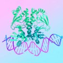 영광화학 이미지