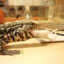 냠냠쩝쩝 이미지