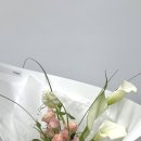 베쥬플라워 | 성수 꽃집 추천 | 베쥬 플라워 (Beige Flower) 청첩장 모임 선물 꽃다발 후기