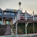 경주스타펜션 | 2025 제32회 경주 벚꽃 마라톤 내돈내산 경주스타펜션 이용 후기