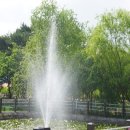 6월 첫날 양주시 나리공원-청보리밭,수확하는 유연보리,장미정원 (2024.6.1.토) 이미지