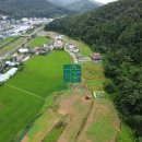 남다른행정사사무소 이미지