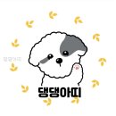 댕댕아띠 네이버블로그