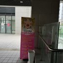 그오빠네일