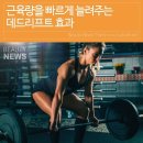🍀 근육량을 빠르게 늘려주는 데드리프트 효과 🍀 이미지