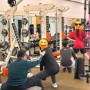 용인대학교 체육과학대학원 | 청주기능성트레이닝 동남지구용암동PT 근육을 넘어 움직임을 설계하다