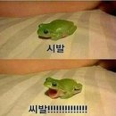 내맘대로여행