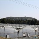 하원동-2 이미지