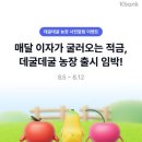 세전농장 티스토리