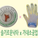 슬기로운낙타