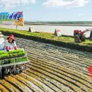 오계농장 이미지