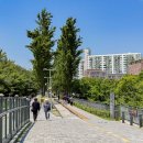 경춘선솔밭길 네이버블로그