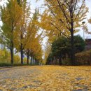 한성백제역 2번출구 앞 이미지