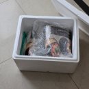 어탕 | 춘천맛집 보양식으로 좋은 청강어탕수제비 택배 후기