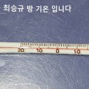 모세혈관 막힘 없으면 질병도 없다 이미지