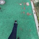 씨유 의왕부곡 IC점 | 벌써 오월도 안녕이구나~🌼