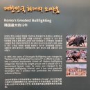 청도소싸움미디어체험관 이미지