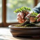 산림기능사 국가기술자격증 이미지