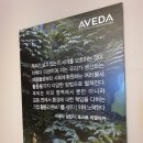 아로마 여인숙 네이버블로그