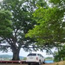 구룡농장 이미지