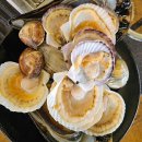 야외 풍차화장실 이미지