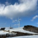 호재목장 이미지