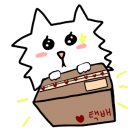 엔학고레 이미지