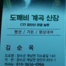 도깨비 계곡산장 이미지