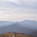 '막연한 설레임' 지리산 바래봉 풍경 이미지