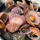 천하일품 칼국수 이미지