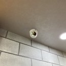 골든볼 당구장 이미지