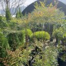 일선농장 이미지