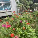 새대우약국 이미지