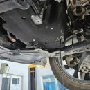 로고스카센타 이미지